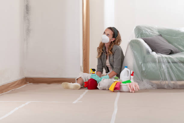 Reliable Mold Cleanup contractor in Byron Center, MI by Cheap Mold Removal